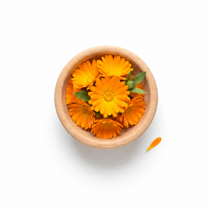 Calendula