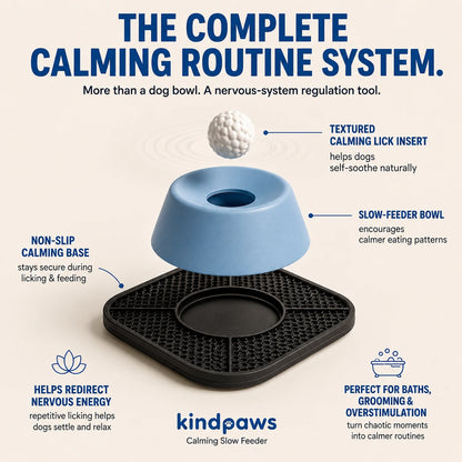 KindPaws Slow Feeder