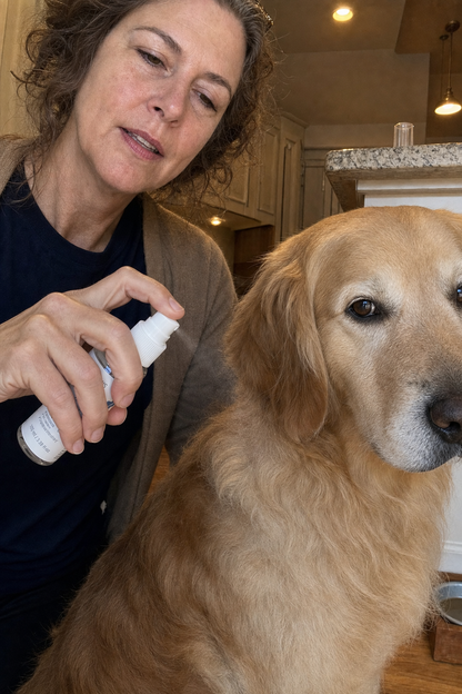 Applying Kind Paws on a dog